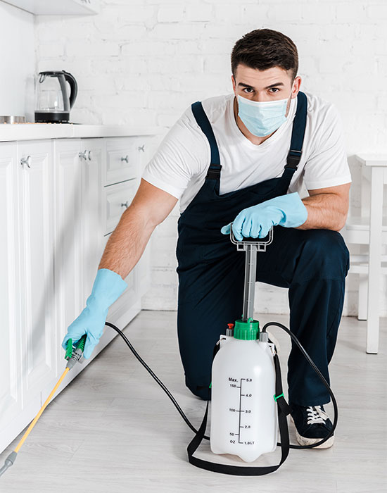 pest control services for home