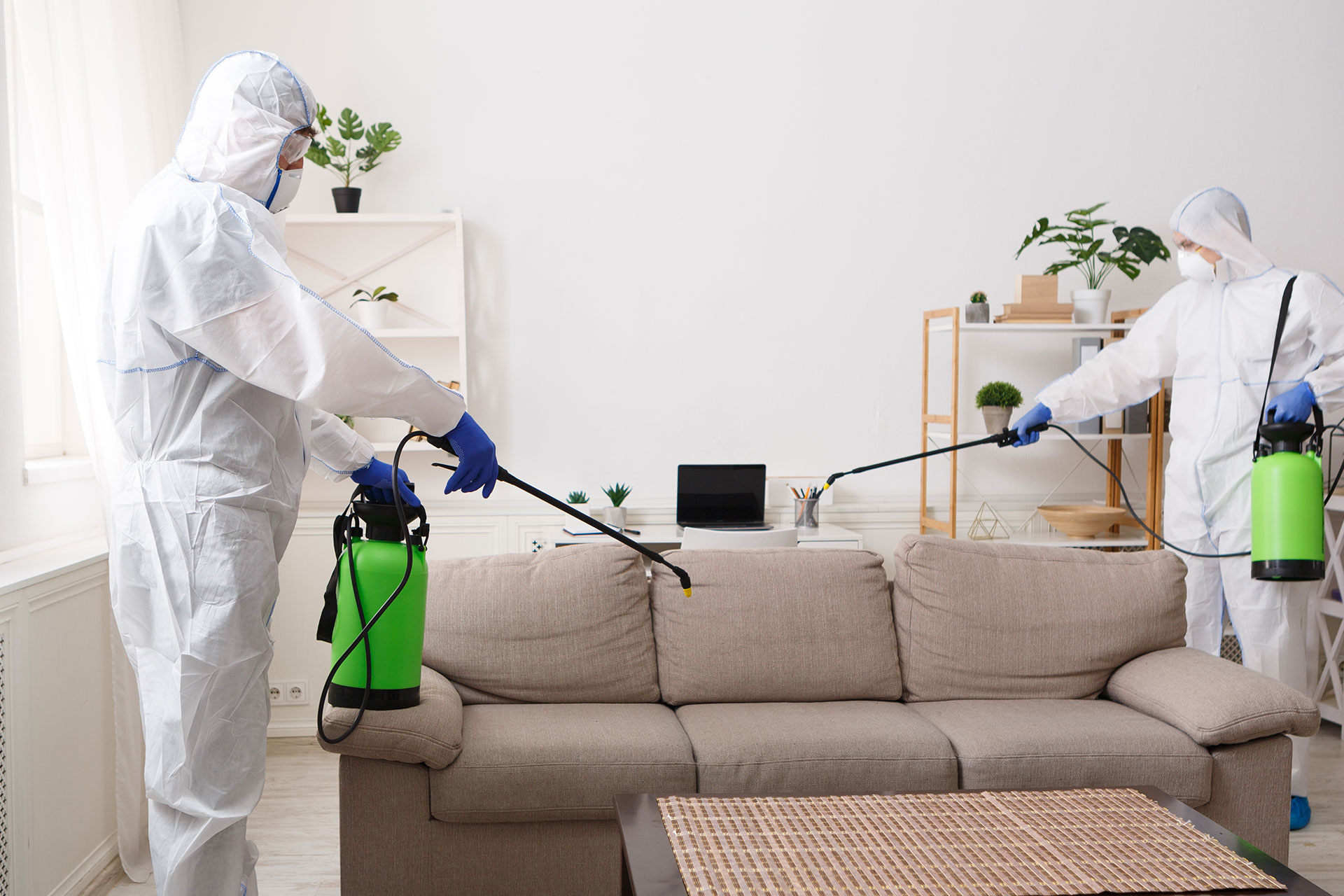 pest control services